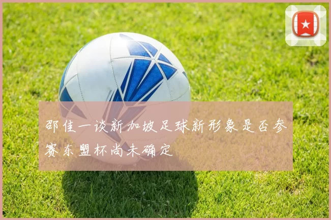 邵佳一谈新加坡足球新形象是否参赛东盟杯尚未确定